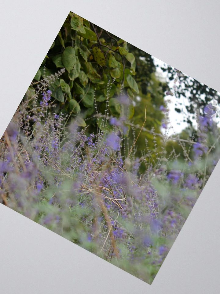 A Study in Flowers 16 - sticker version product image (4)