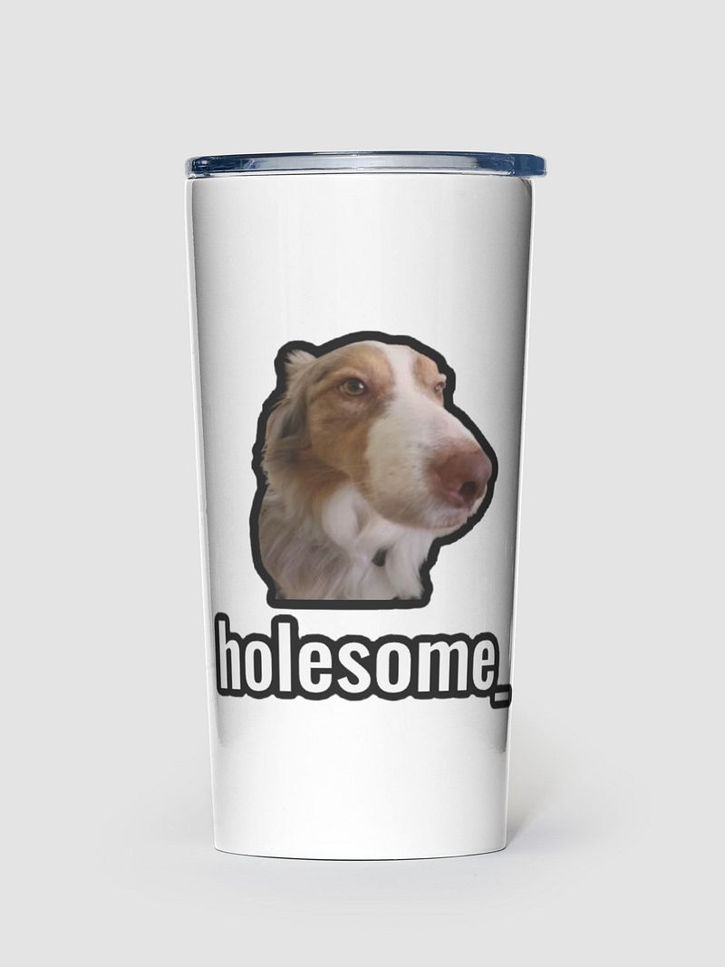 holesome Stainless Steel Tumbler (20oz)