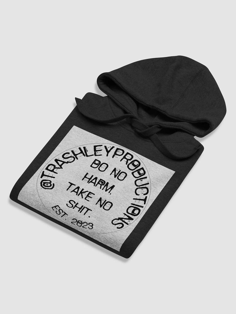 Trashley Logo Hoodie product image (5)