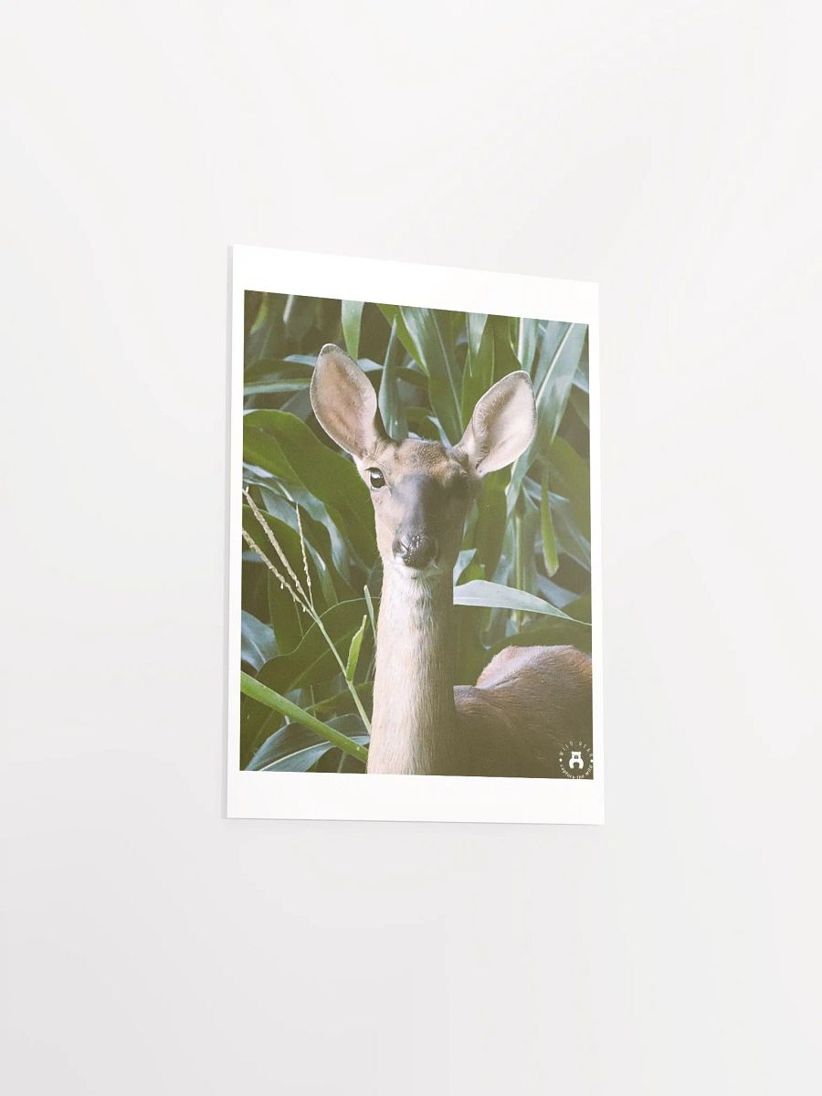 Enchanted Forest Deer Poster product image (11)