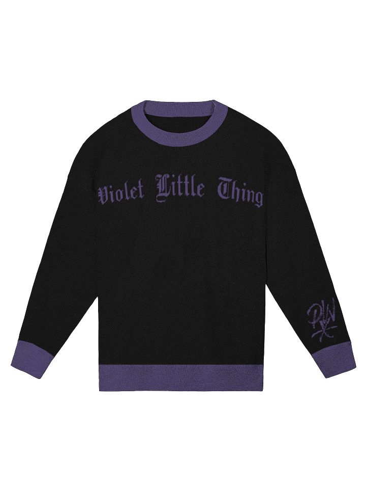 Violet Little Thing Relaxed Sweater product image (1)