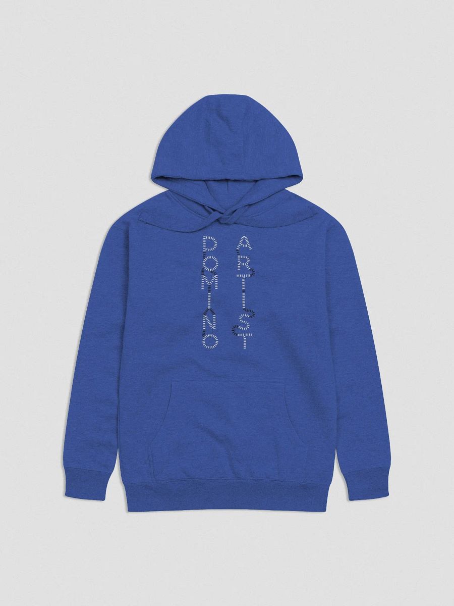 Domino Artist Hoodie product image (2)