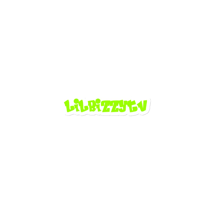 lilbizzytv magnets product image (1)