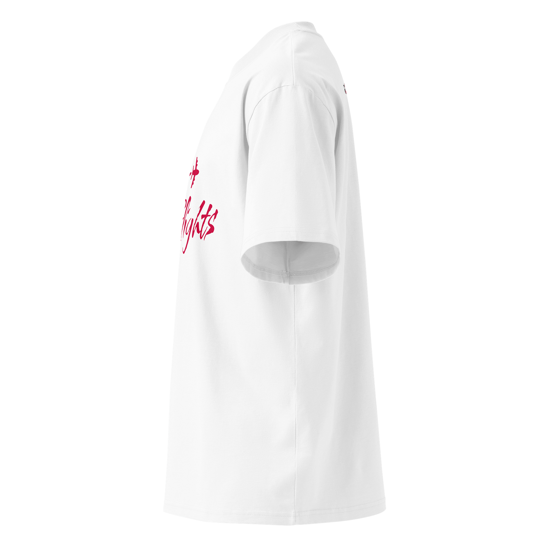 Take Flights Oversized Tee product image (3)