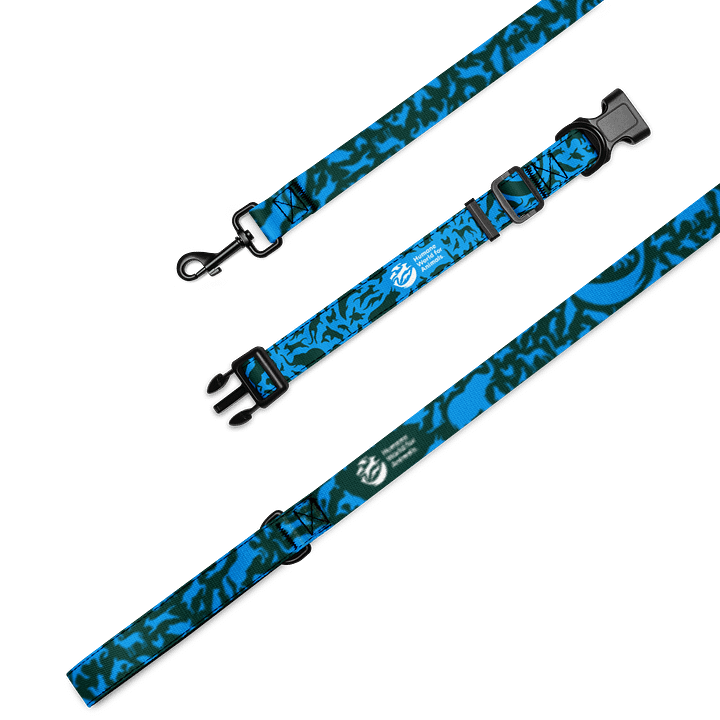 Animal Print Pet leash and collar set product image (1)