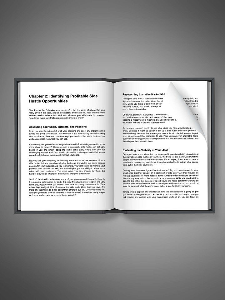 The Side Hustlers Blueprint product image (2)