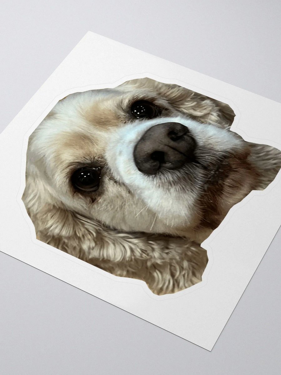WESLEY STICKER!! product image (3)