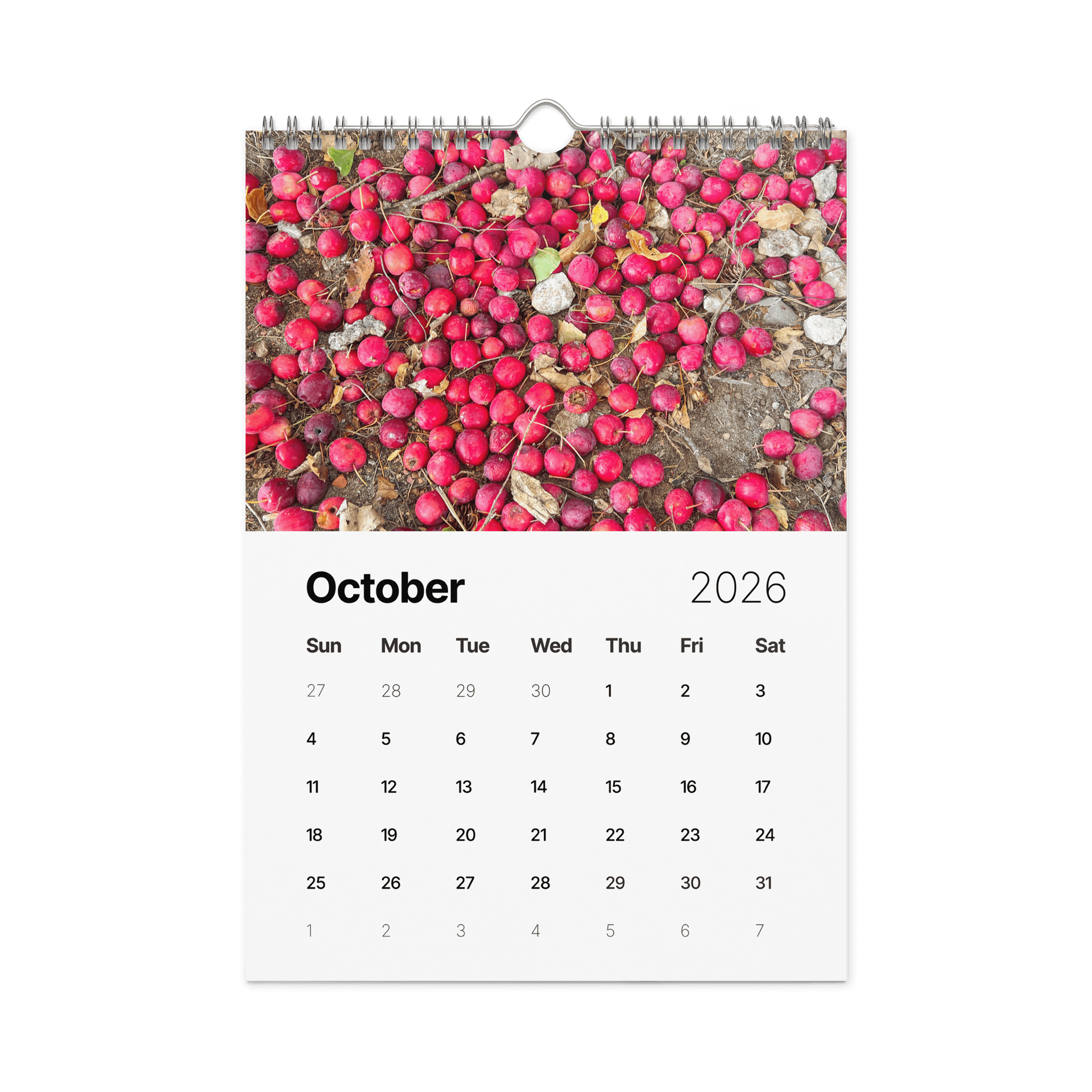 2026 Wildflower Photo Calendar product image (11)