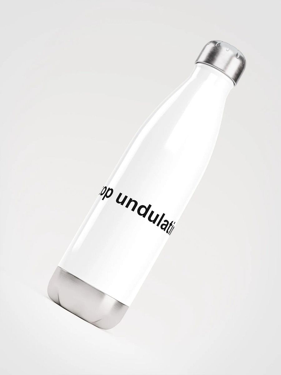 Stop Undulating Water Bottle product image (4)