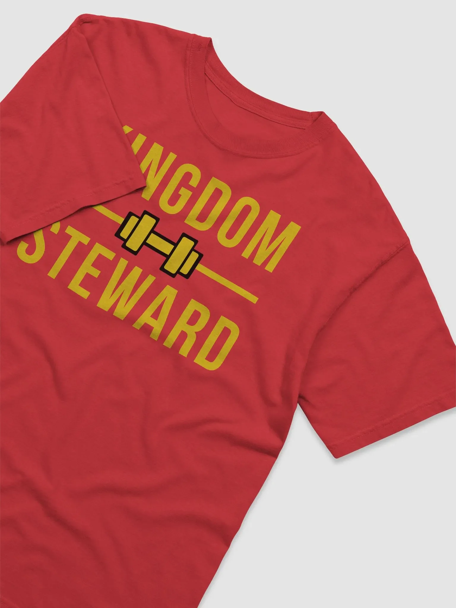 Kingdom Steward product image (3)