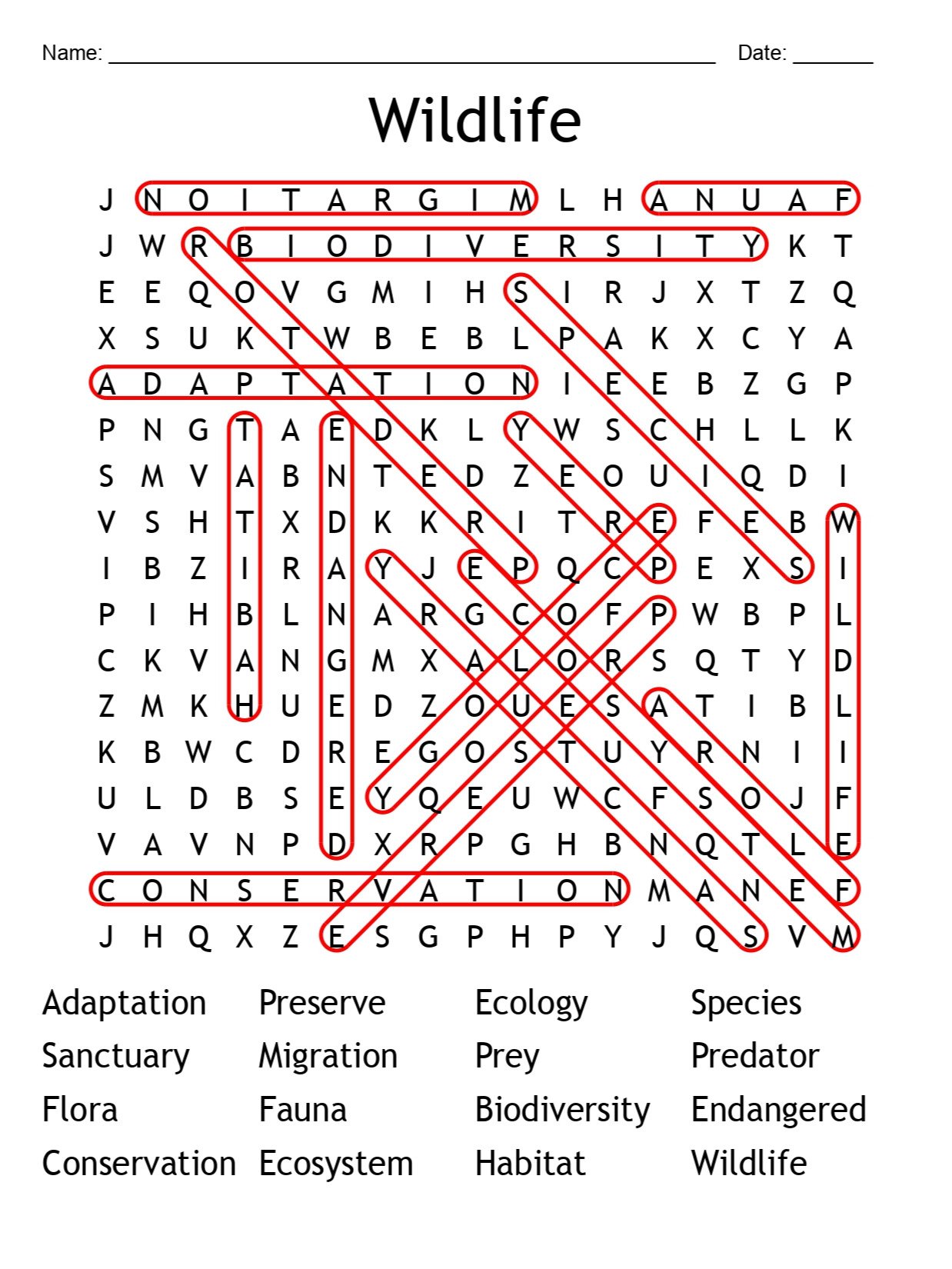 Printable Wildlife Word Search – 16 Key Terms! product image (2)