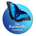 The Butterfly Gardens Tropical Butterflies Print Shop