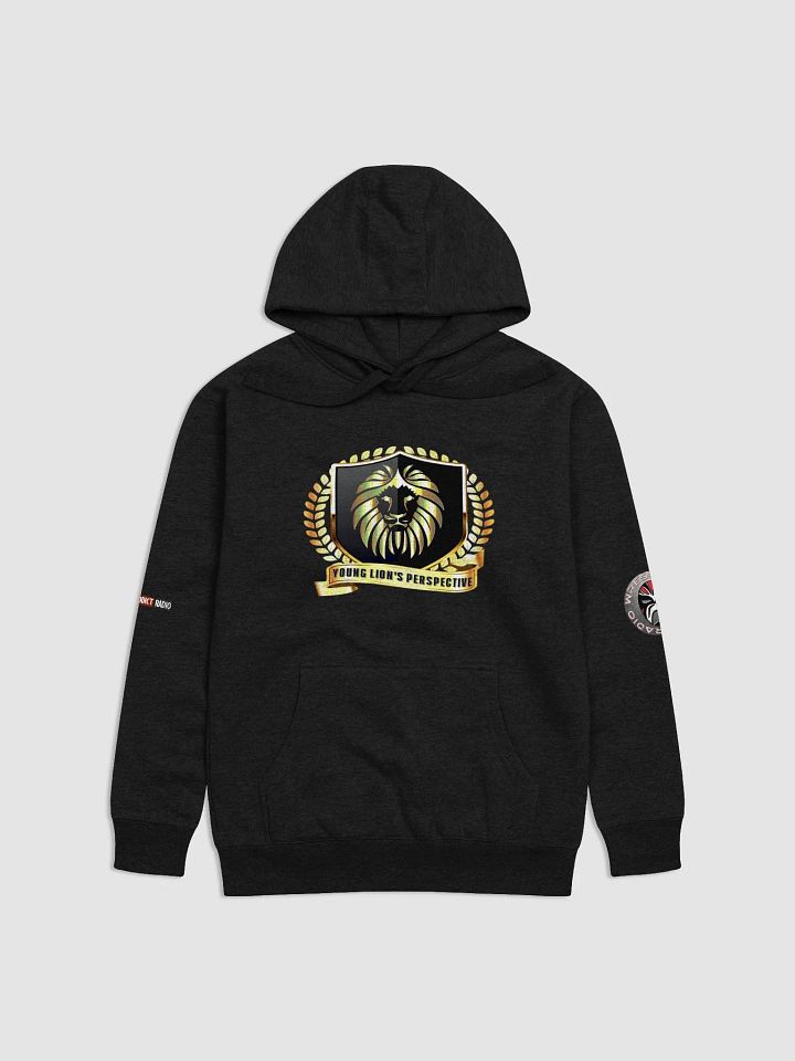 YLP Hoodie product image (1)