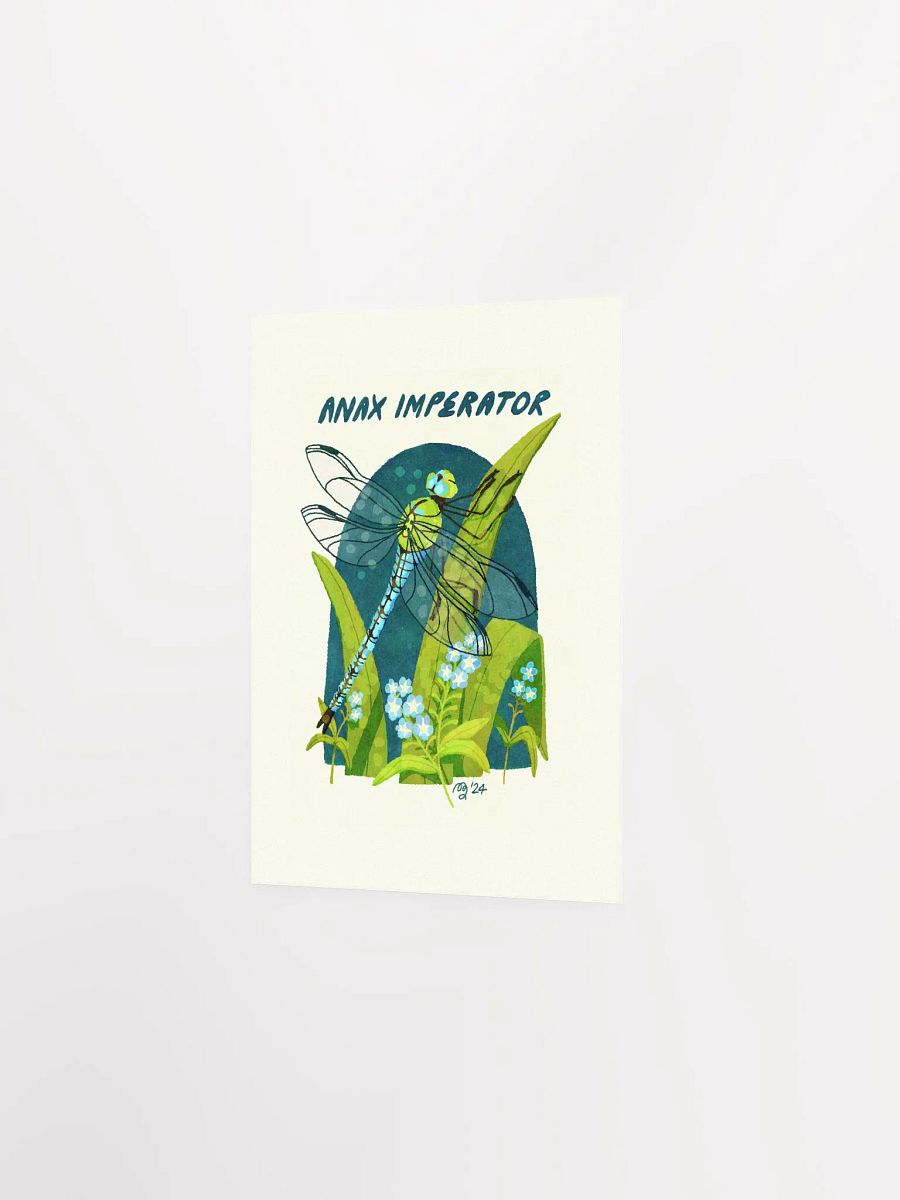 Emperor Dragonfly Print product image (3)