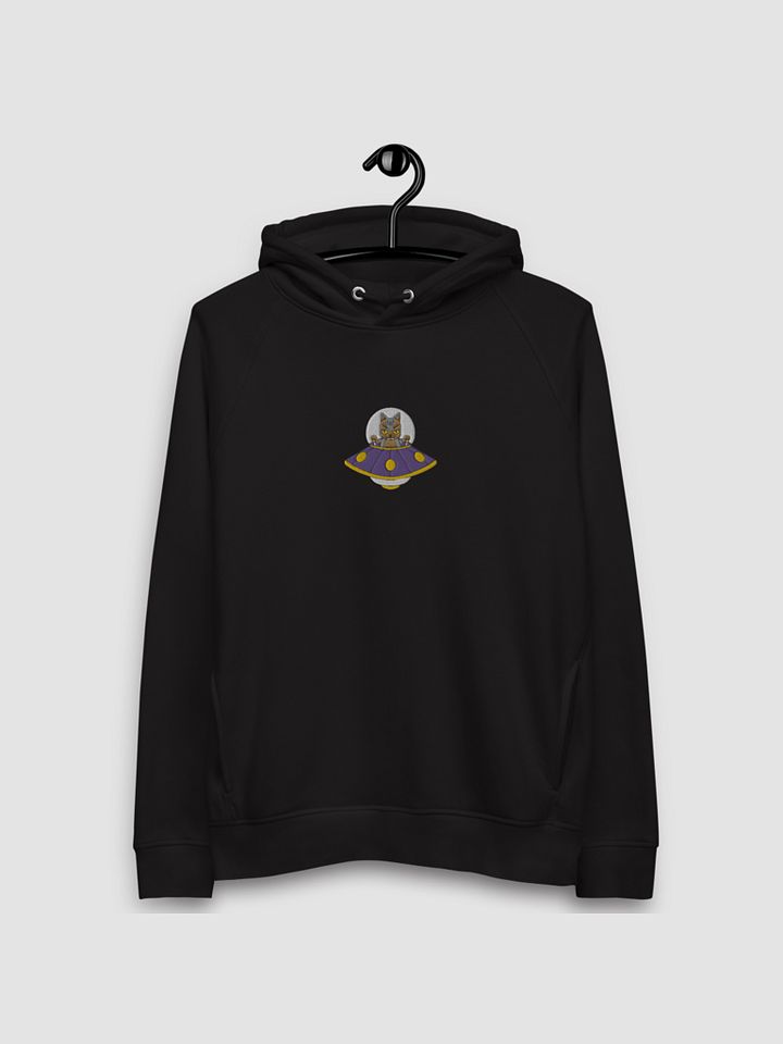 The Harrison Embroidered Hoodie product image (1)