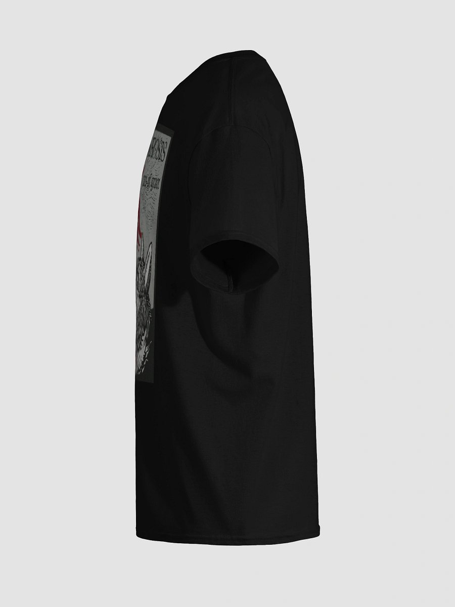 MEOWROSIS TEE product image (126)