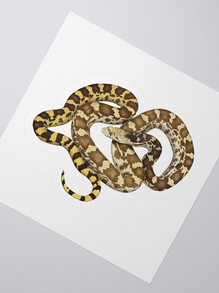 Die-Cut Sticker – Sonoran Gophersnake product image (2)