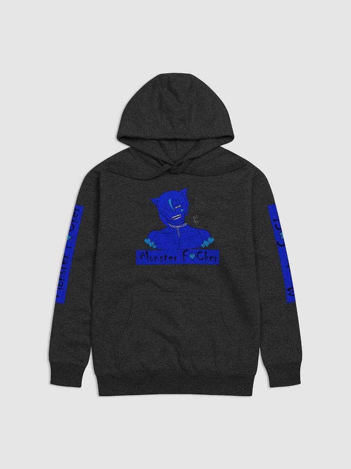 The Honest Hoodie product image (1)