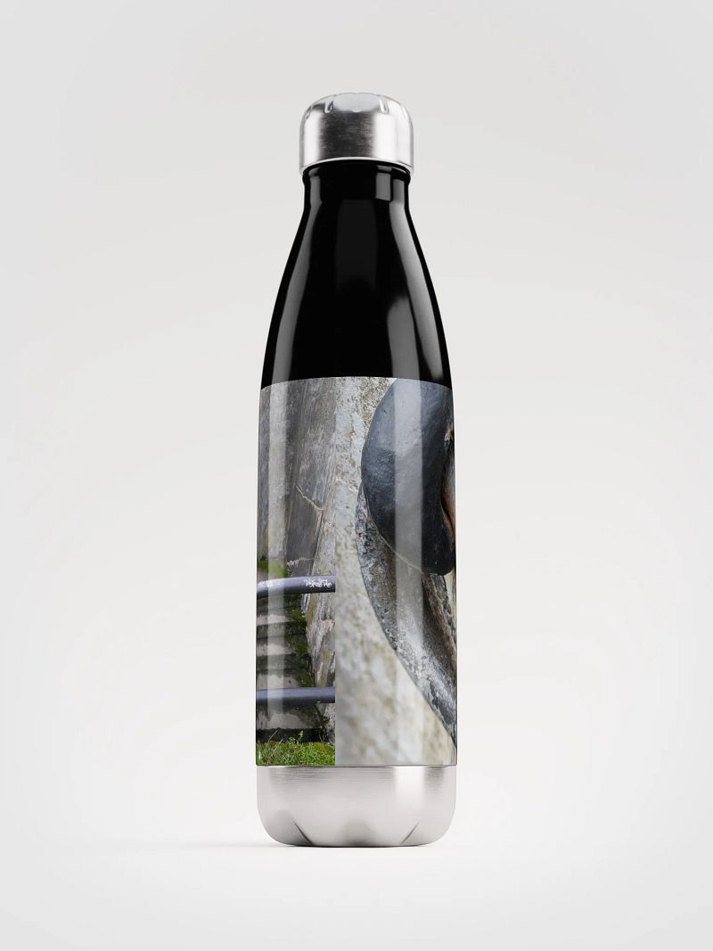 Old Fort Waterbottle