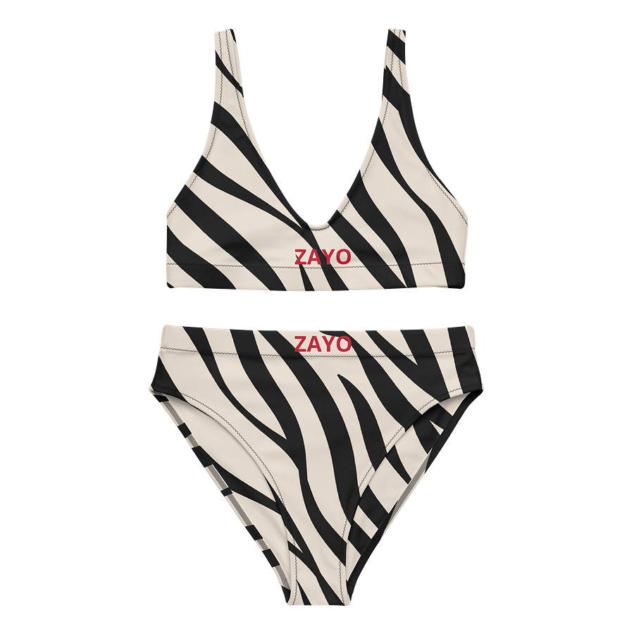 Eco-Chic Zebra Wave Bikini Set product image (5)