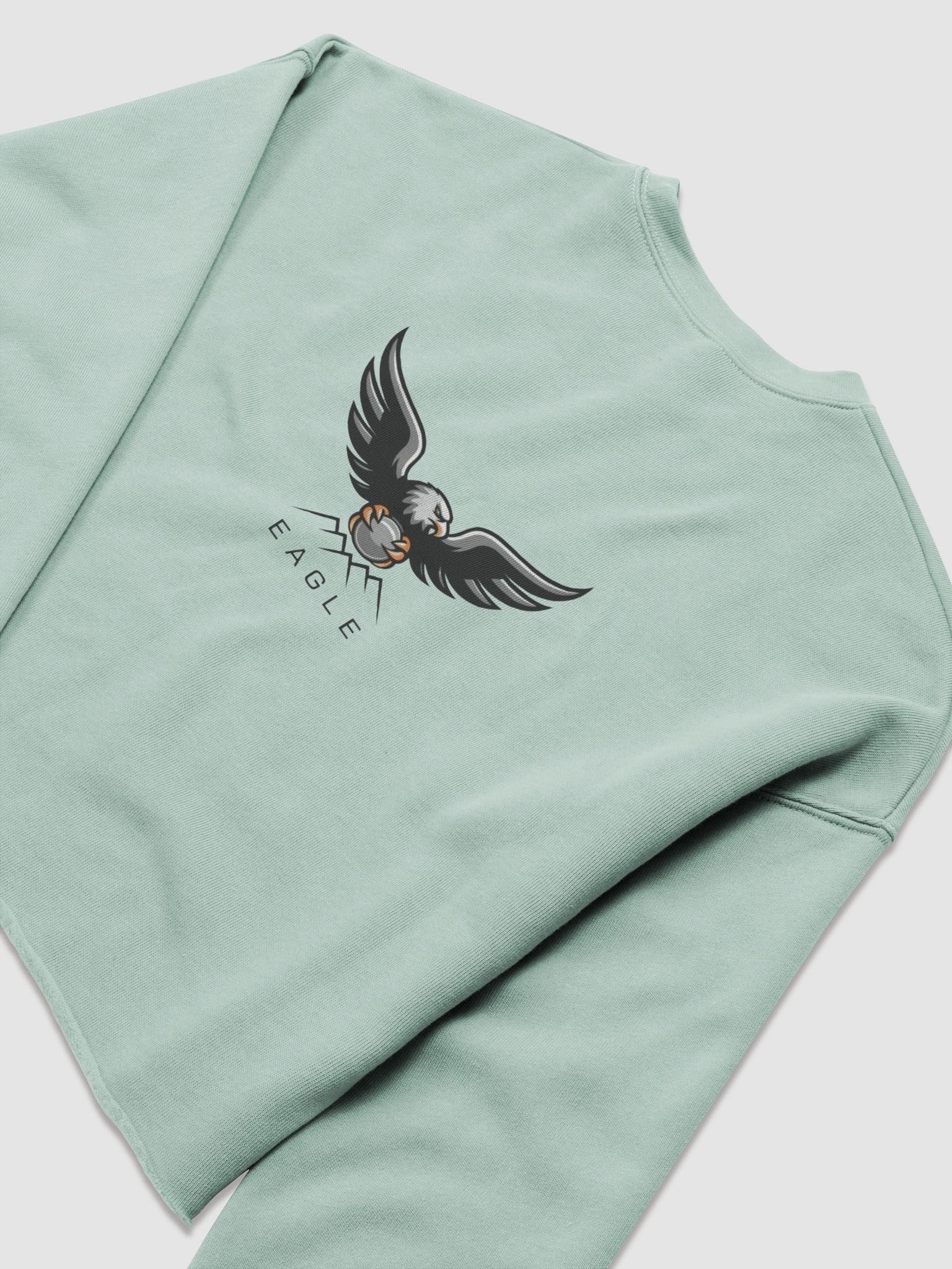Eagle Women's Fleece Crop Sweatshirt - Stylish with Bold Design product image (8)