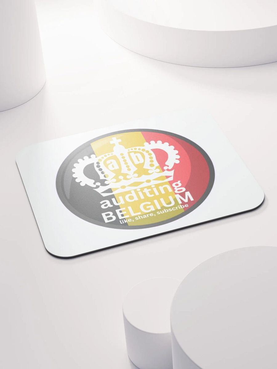 AUDITING BELGIUM product image (4)