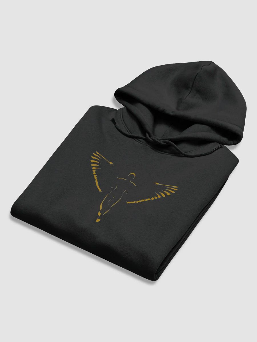 God With Wings Hoodie product image (12)