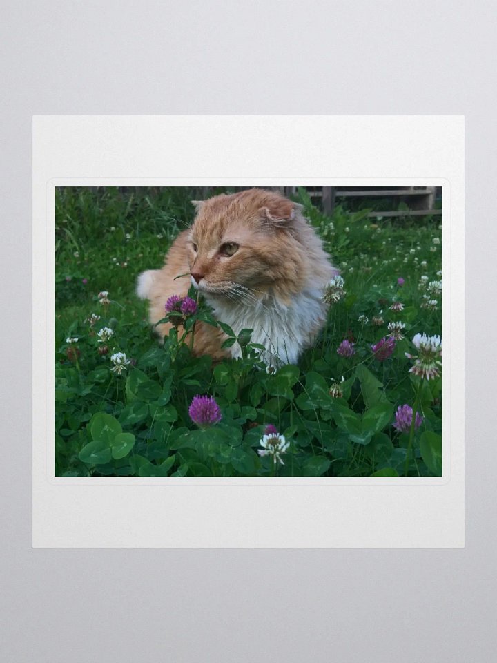 Clover Field Boy Sticker product image (1)