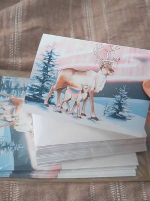 Protect Trans Youth (but make it subtle) holiday cards are ready!  They're on sale via my Inprnt store (in my linktree).  ...I'm not a very confident speaker 🙃 #holiday #holidaycards #protecttranskids #illustration #art #reindeer #lgbt