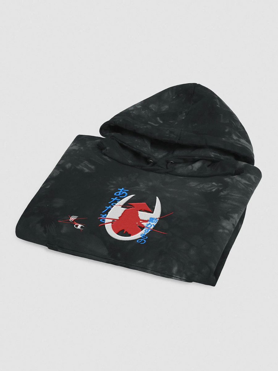 Frostee x Champion Tie-Dye Hoodie product image (4)