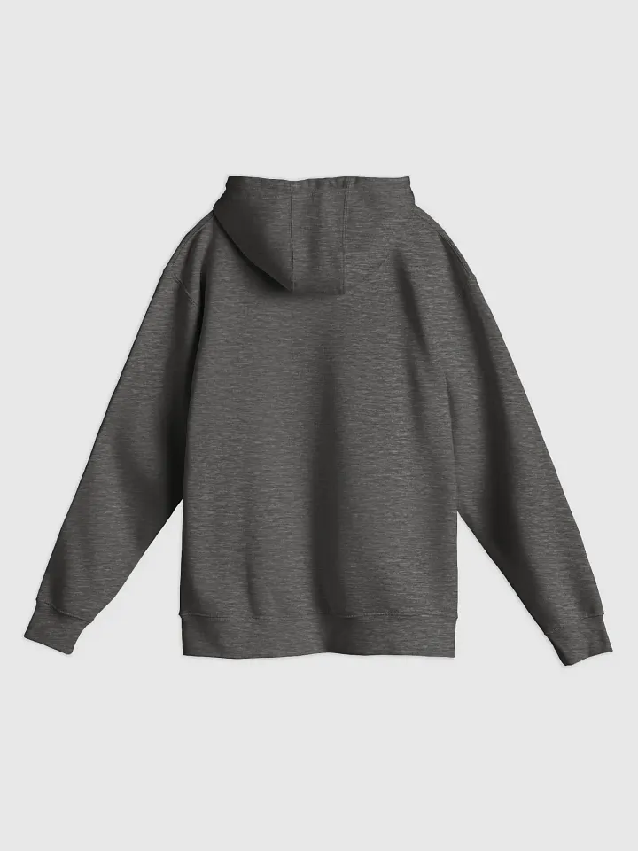 AG21 Campus Hoodie (Black) product image (11)