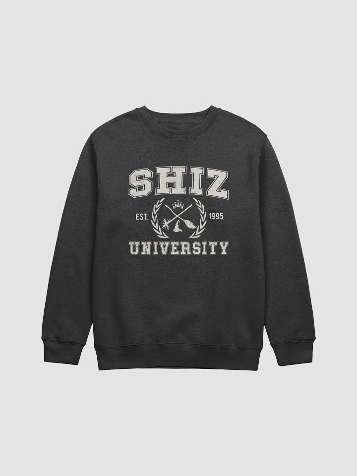 Shiz University Sweatshirt, Wickeds Shirt, Wizard Shiz Uni Shirt, Musical Movie Shirt, Movie Shirt, Defy Gravity Broomstick Magic Wand Shirt product image (1)