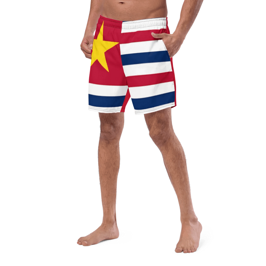 LA SwimTrunks product image (7)