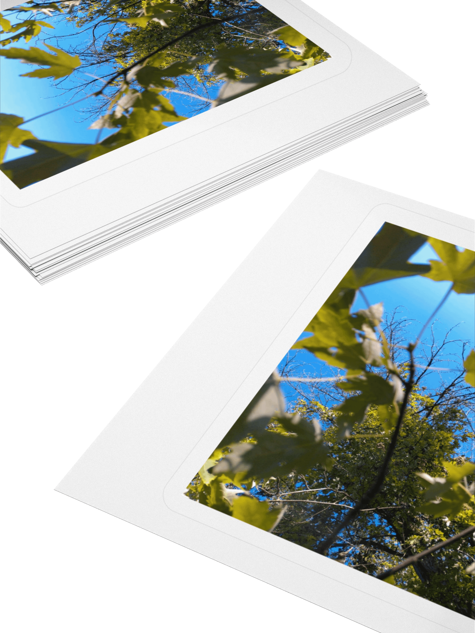 the sky product image (12)