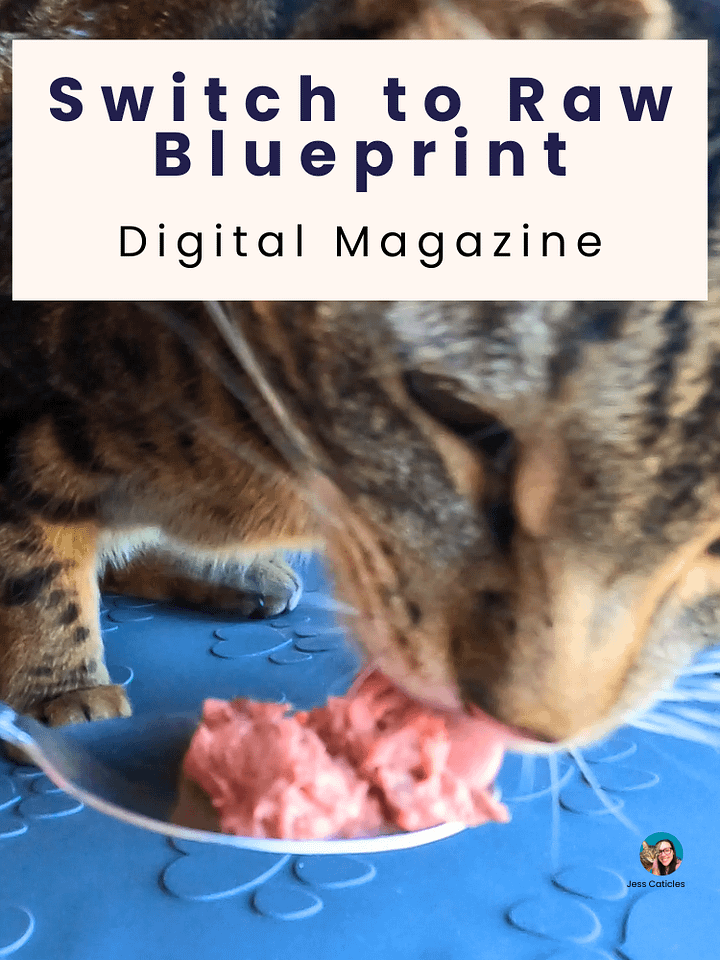 Switch to Raw Blueprint Digital Magazine ~ How to switch your cat from dry or wet to premade raw product image (1)