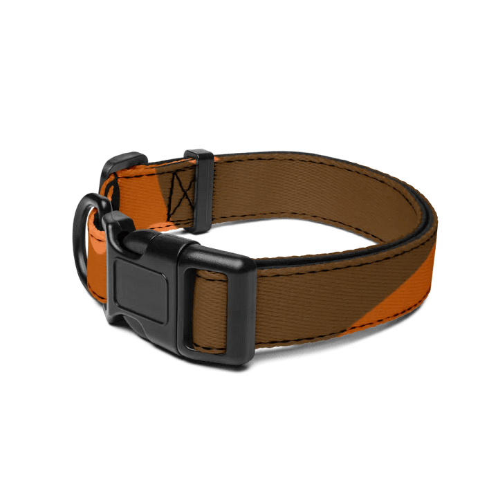 Orange Glow Pet Collar product image (2)