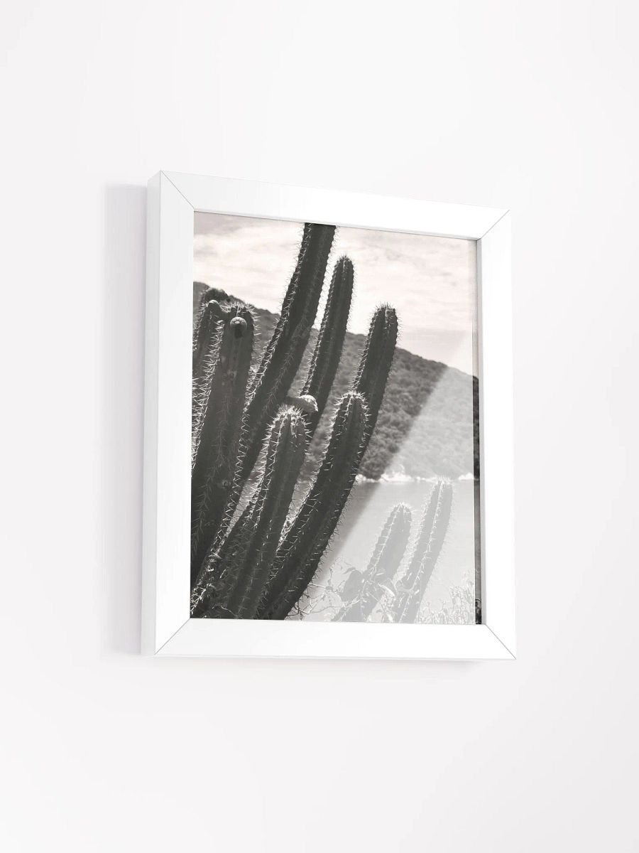 Mexico Lindo - Framed High-Quality Matte Poster product image (2)