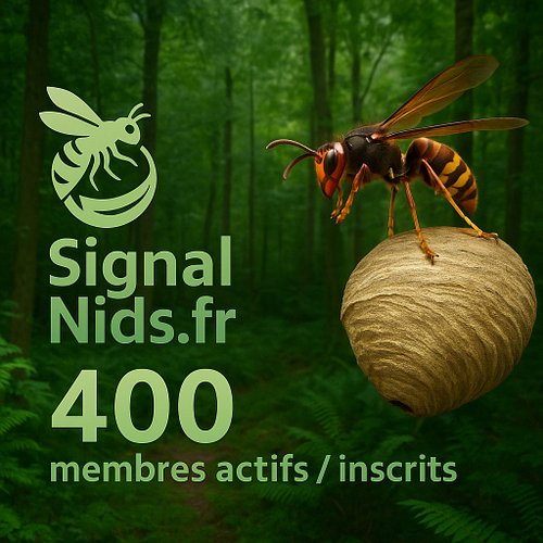 🐝 Merci ! SignalNids franchit les 400 membres actifs ! 🙌

Grâce à vous, la plateforme continue de grandir chaque jour et d’ai...
