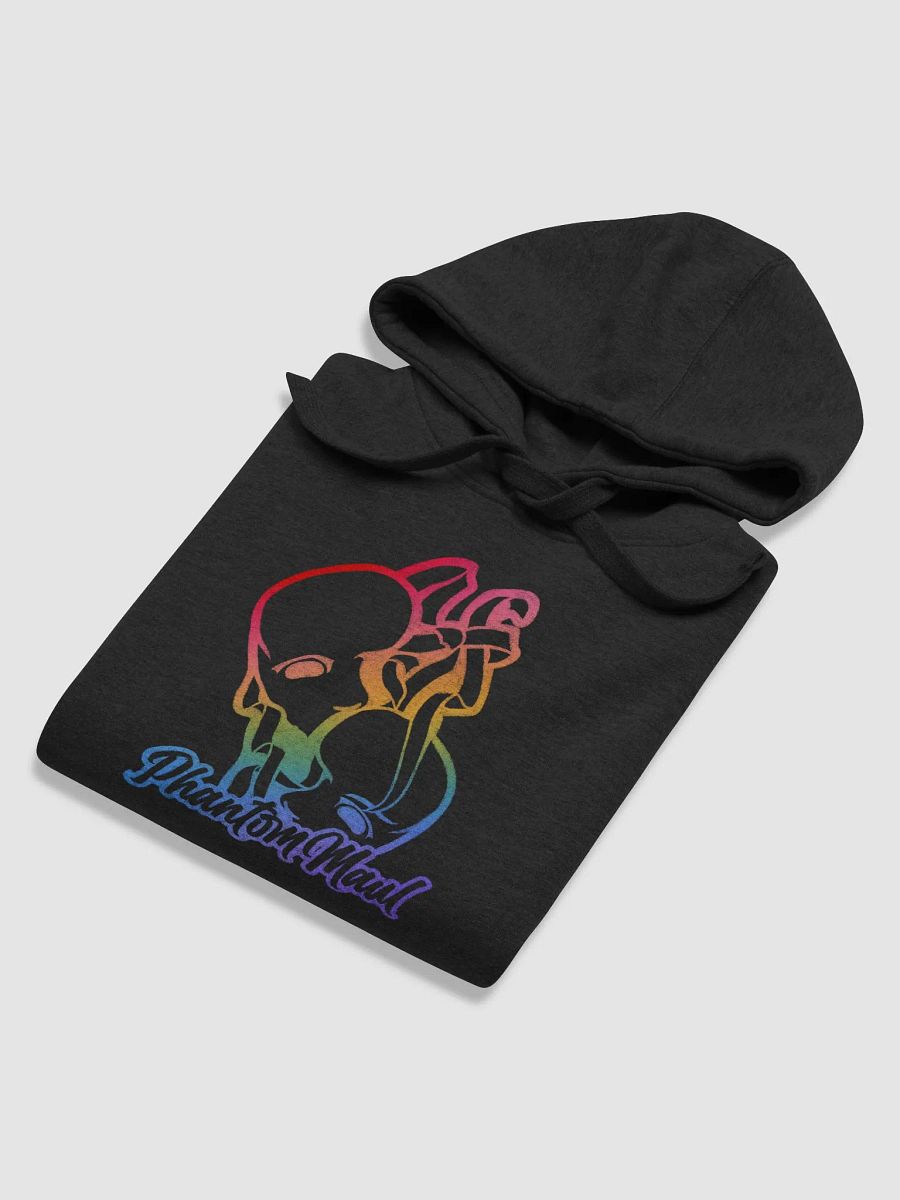 Rainbow Big Logo Premium Hoodie product image (48)