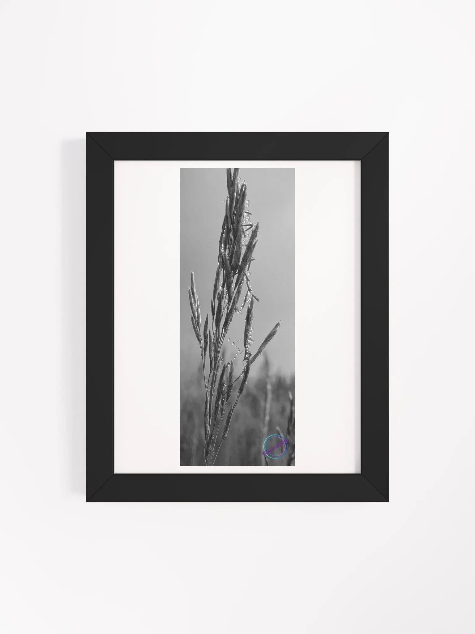 Dewy web product image (8)