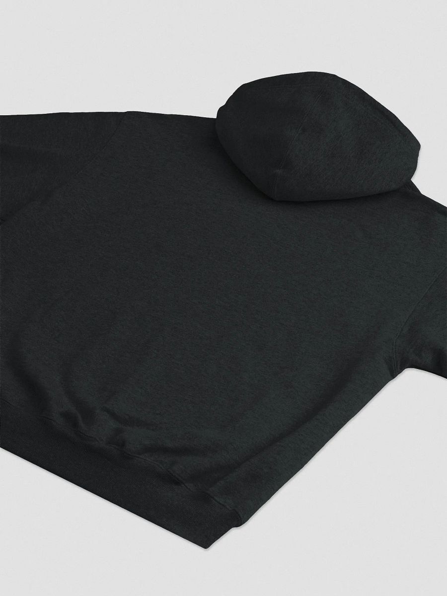 GBS Champion's Hoodie product image (12)