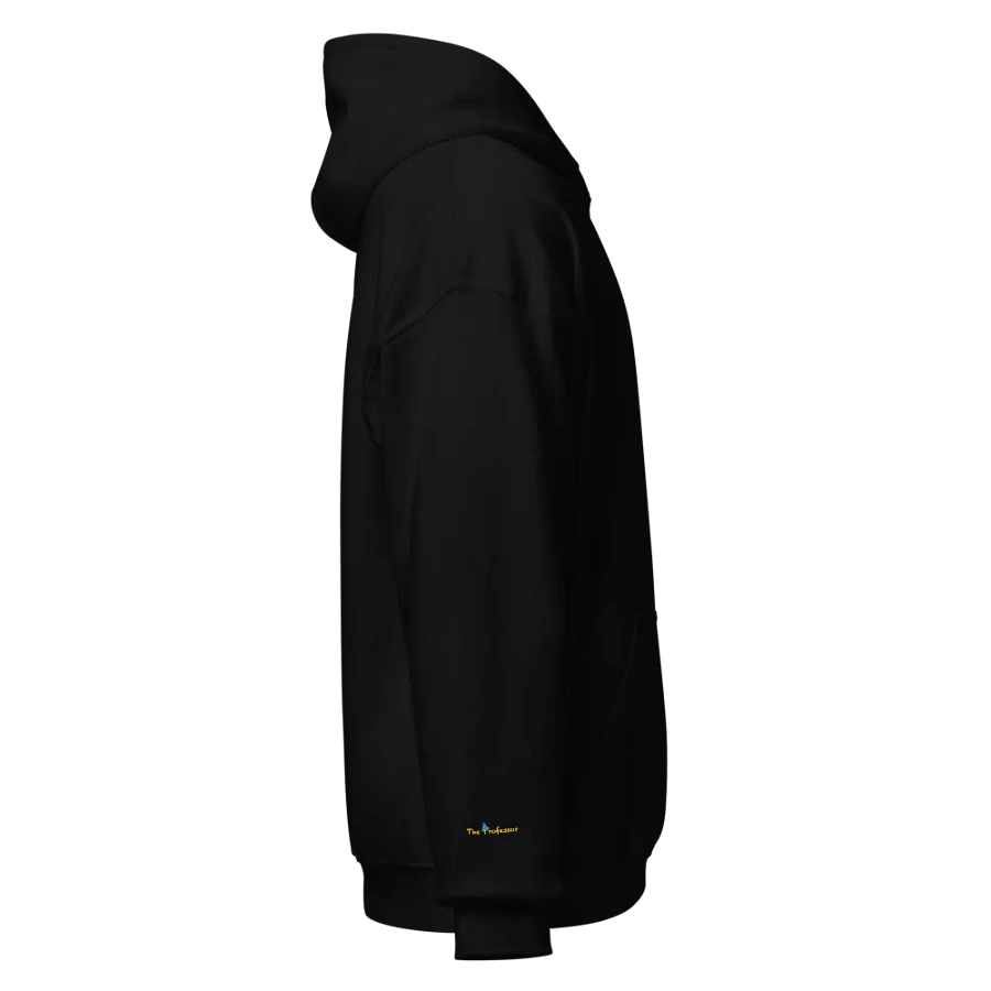 The Professor Unisex Hoodie product image (4)