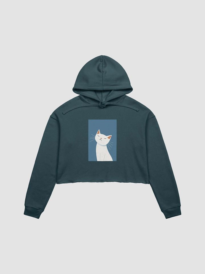 Boho Style Kitty Crop Hoodie product image (7)
