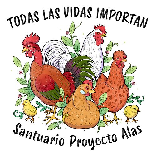 Every life matters ❤️ If you know me, you know I absolutely ADORE chickens! They are such precious beings 🥹 @proyecto_alas_uy...