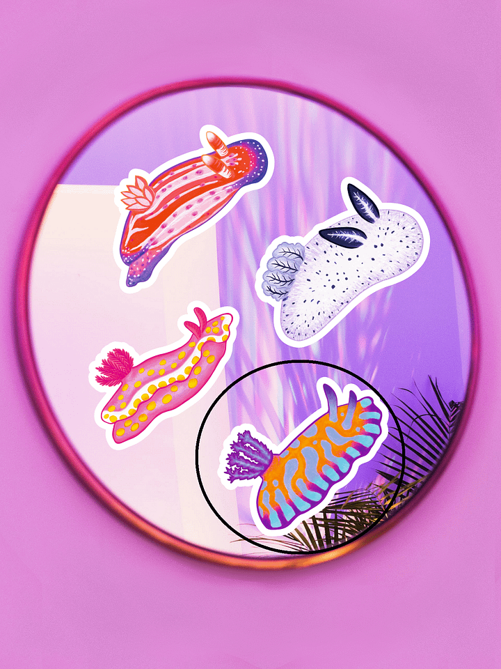 Sea Slugs: Set 1, Chromodoris Roboi - Magnet product image (2)