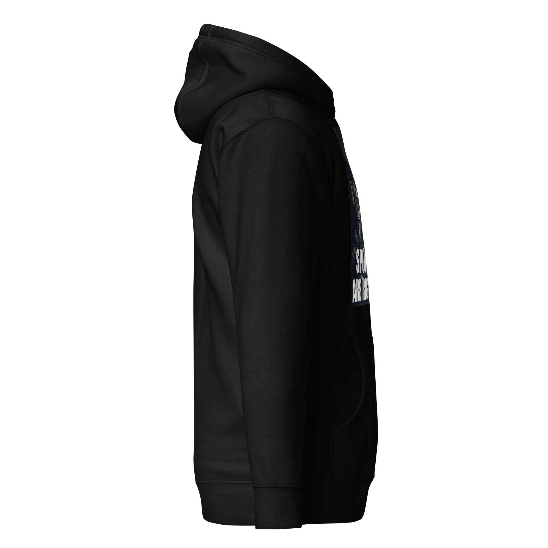 Rigged Sports Comfort Unisex Hoodie product image (19)