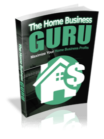 The Home Business Guru product image (1)