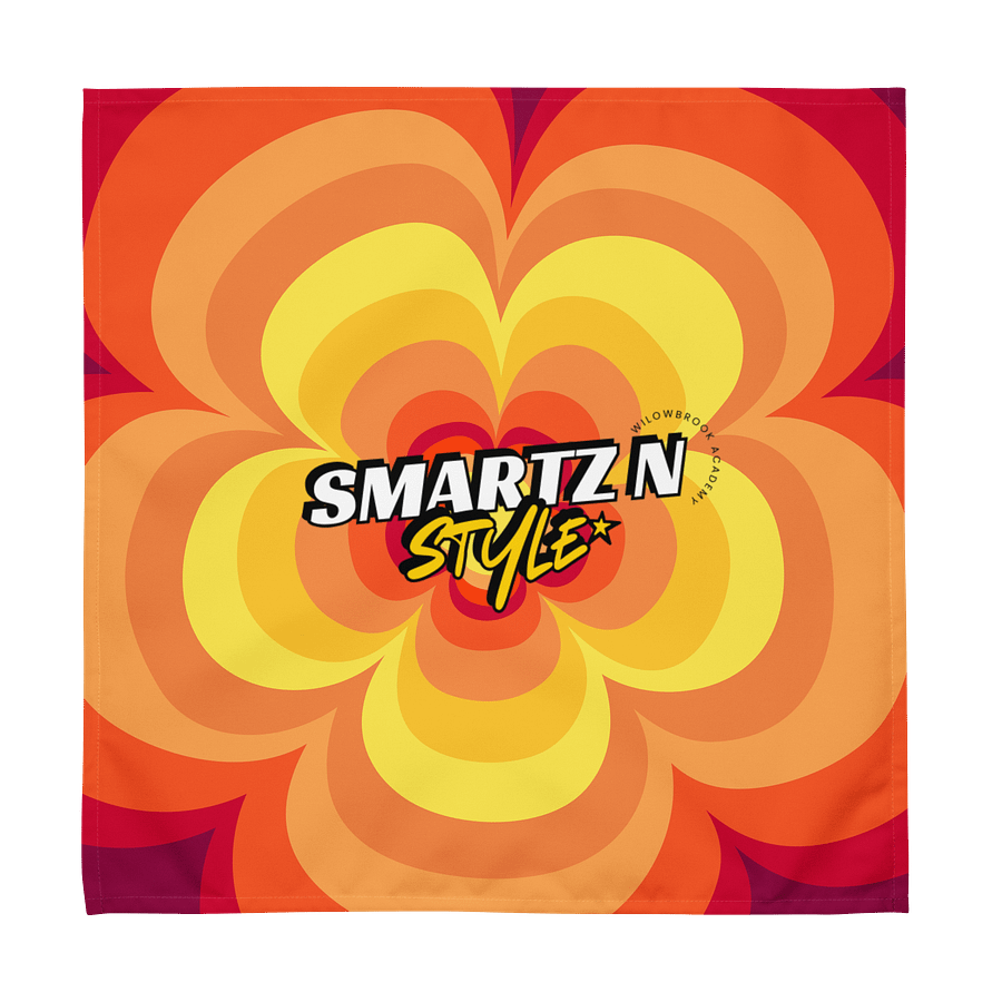 Smartz N Style Cloth Napkin Set (4) product image (4)