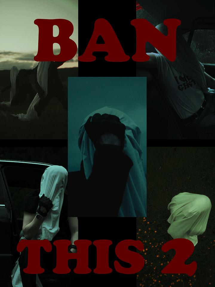 BAN THIS 2 (WALLPAPER X5) product image (1)