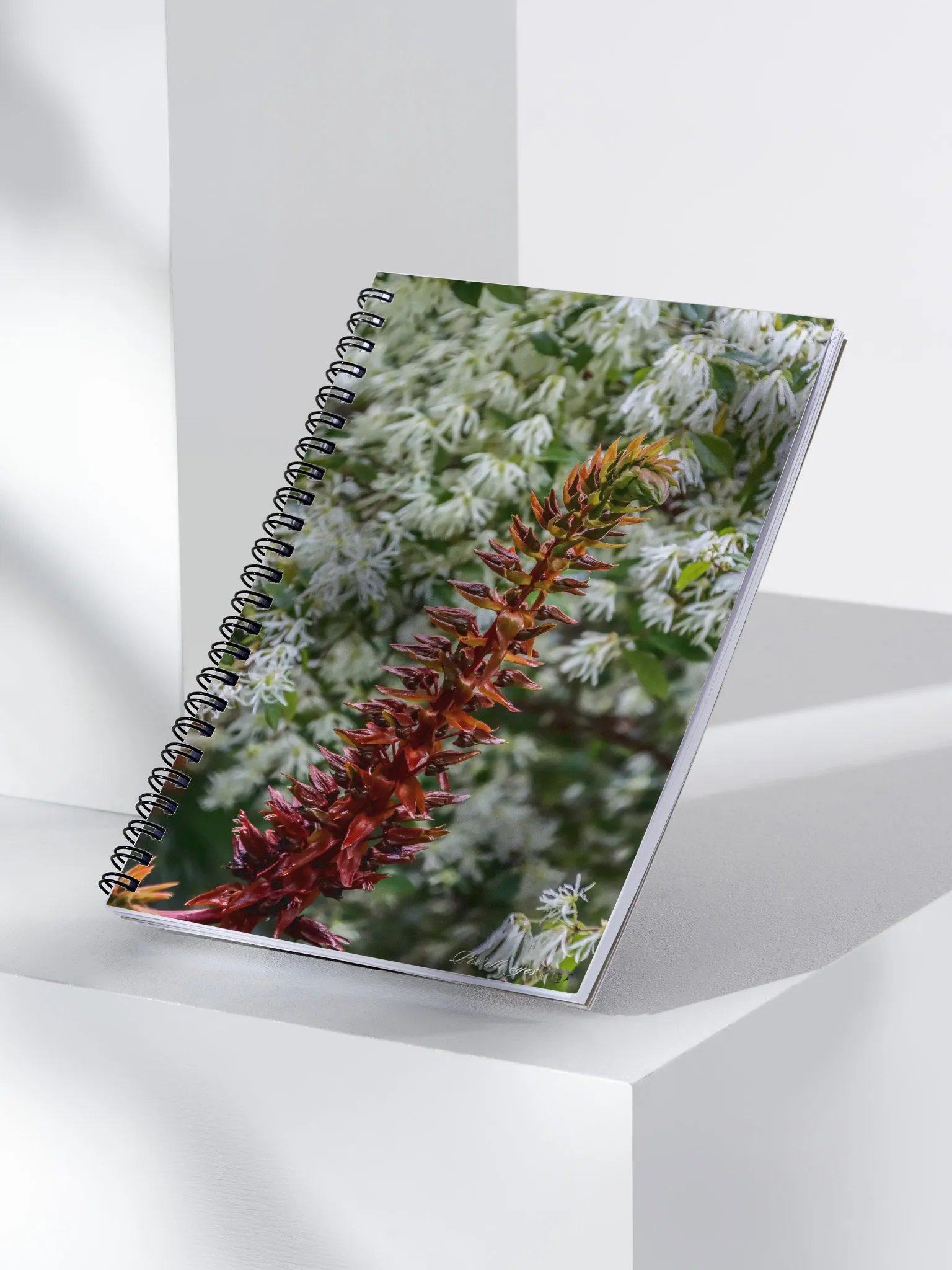 📓 Notebook Collection PURE – Jardin du Rayol – Fleur à franges & Mélianthus product image (3)